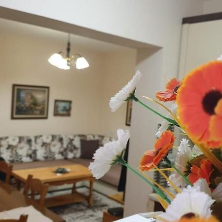 Valentina'S Apartment Тирана Экстерьер фото