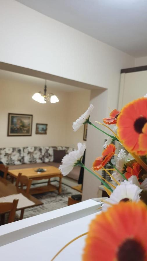 Valentina'S Apartment Тирана Экстерьер фото